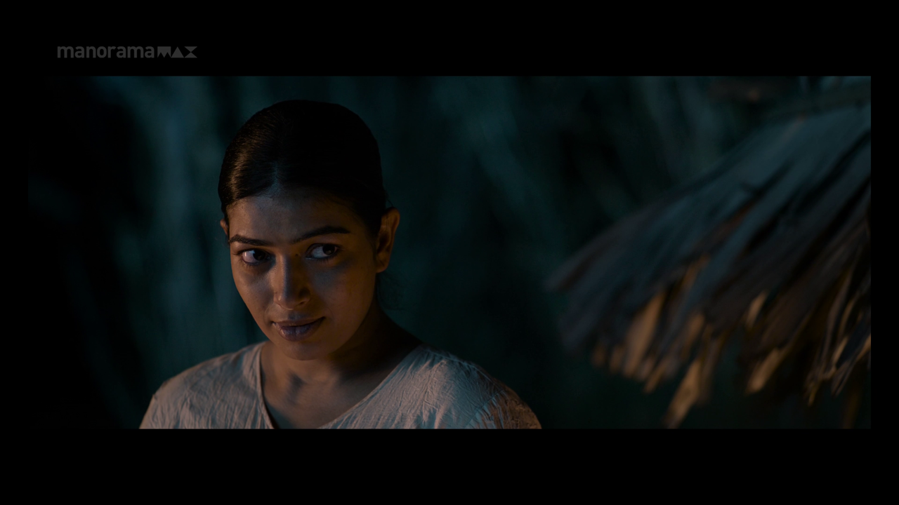 vlcsnap 2026 02 02 13h55m06s032