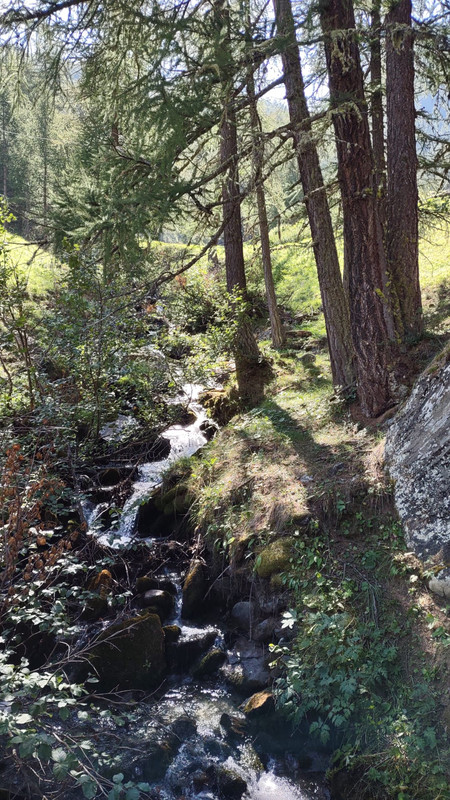 FE38C154-4475-4CCB-BA0A-AE5DCC13CDB9