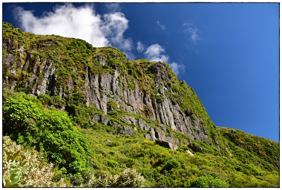 Escapadas y rutas por la Nueva Zelanda menos conocida - Blogs de Nueva Zelanda - Egmont / Taranaki NP: Pouakai Circuit (marzo 2021) (10)