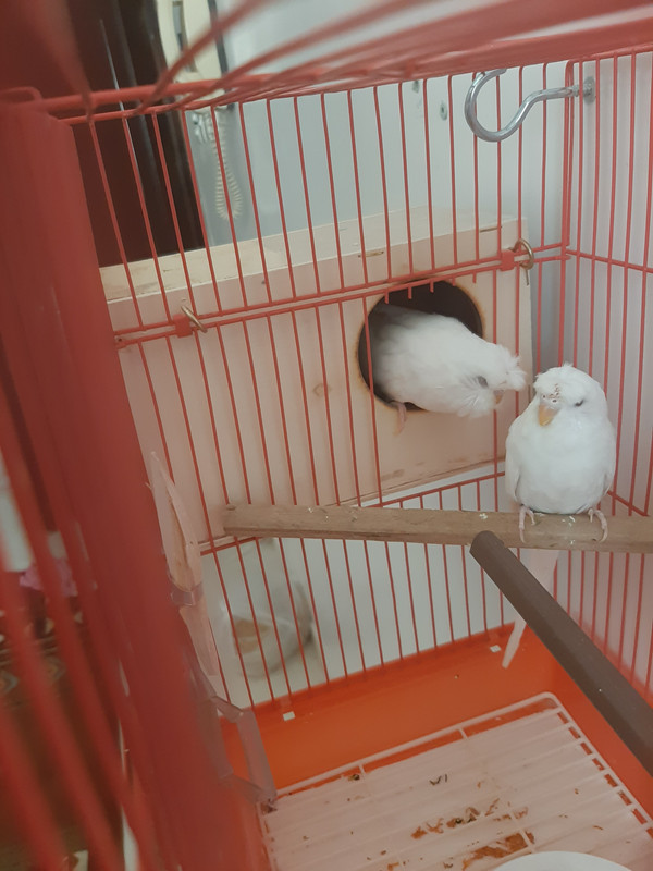 ٢٠٢٠٠٧١٠_٠٨٣٢١٥