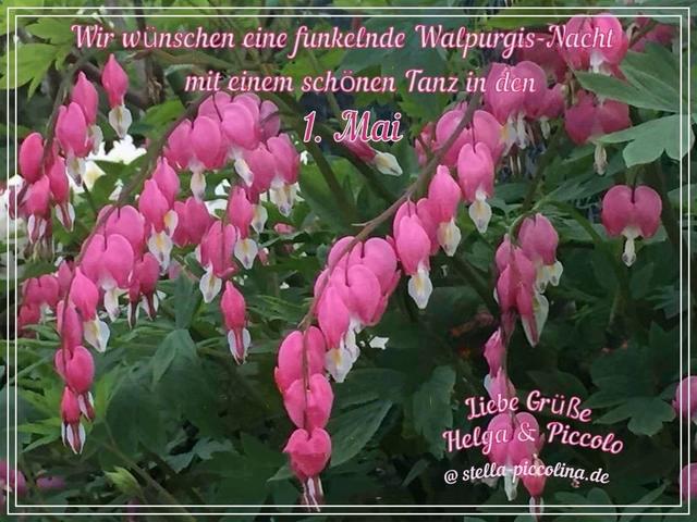 An den Beitrag angehängtes Bild: https://i.postimg.cc/XJZmdyHk/MAITAG-04.jpg