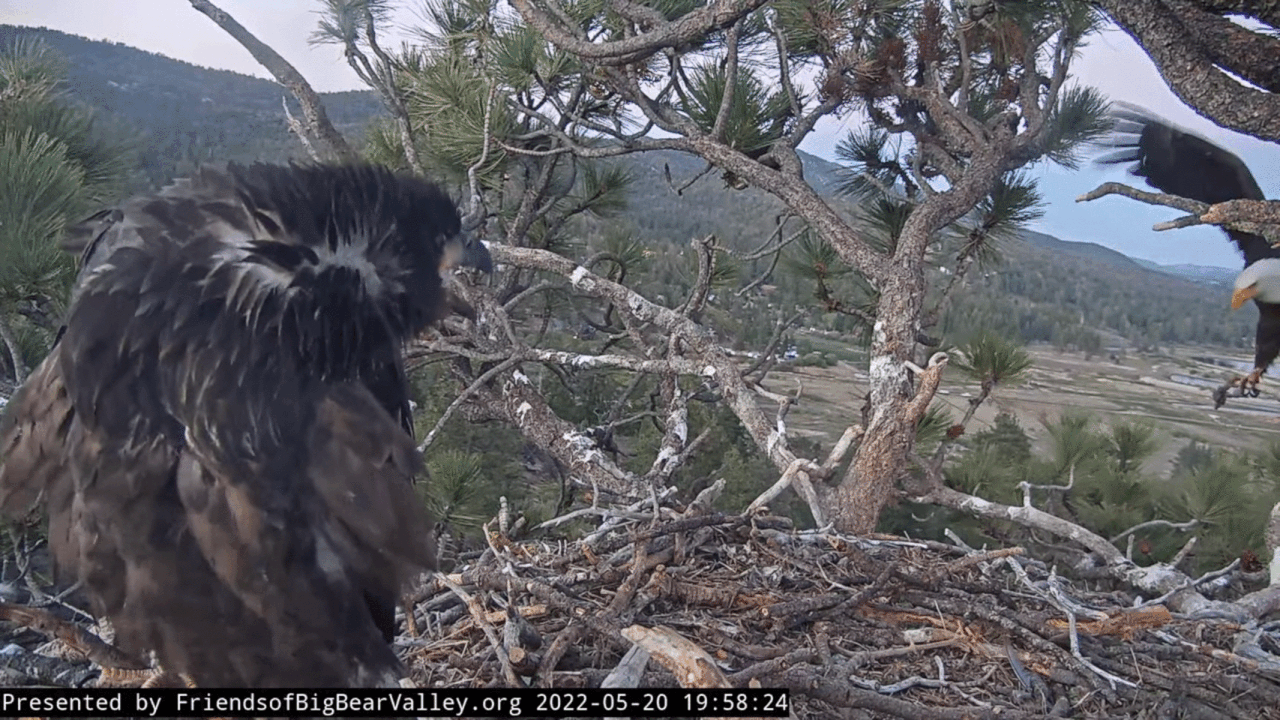 Webp.net-gifmaker (1)