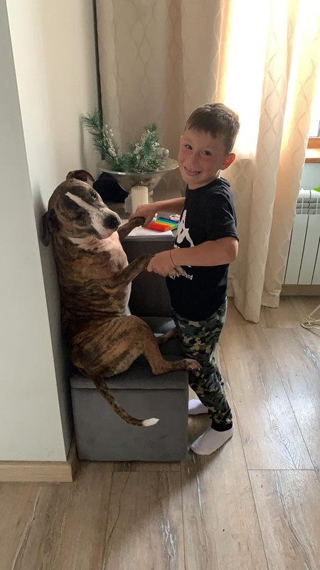 D198D19B-F7A2-469C-8793-9CBC5E0B655A