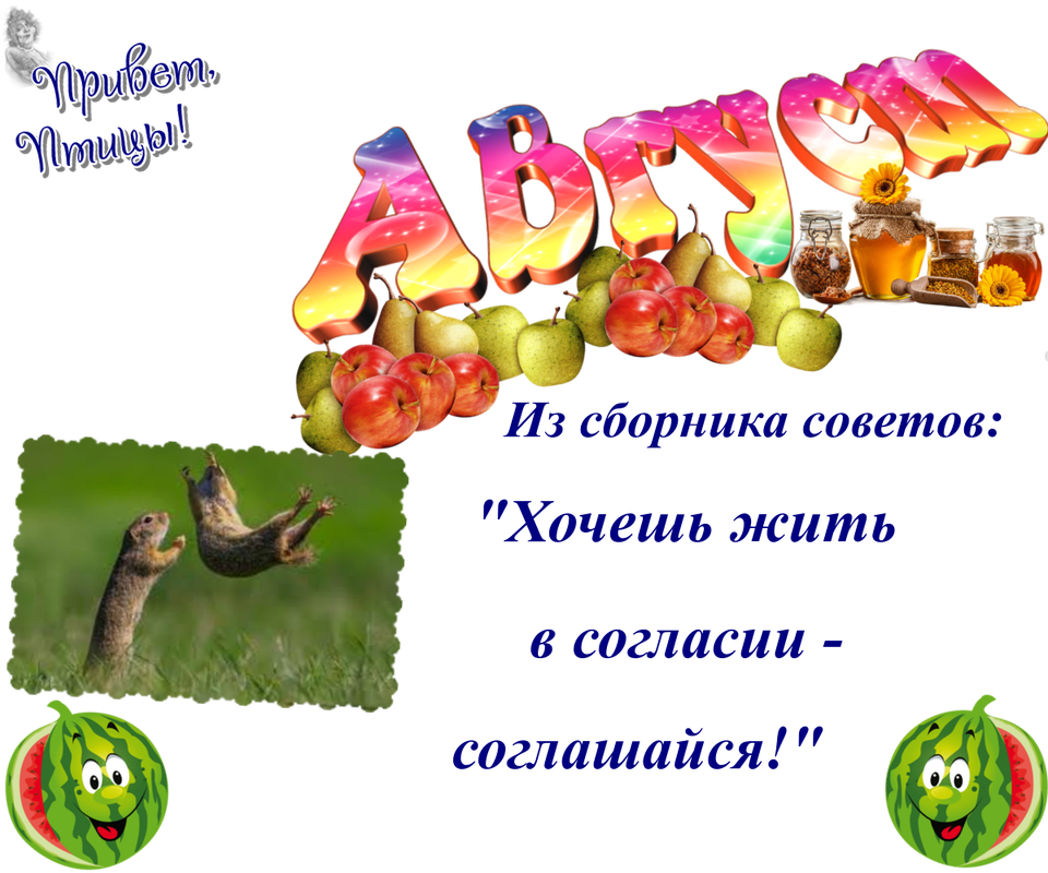 https://i.postimg.cc/XJbNyPJb/07-08.png