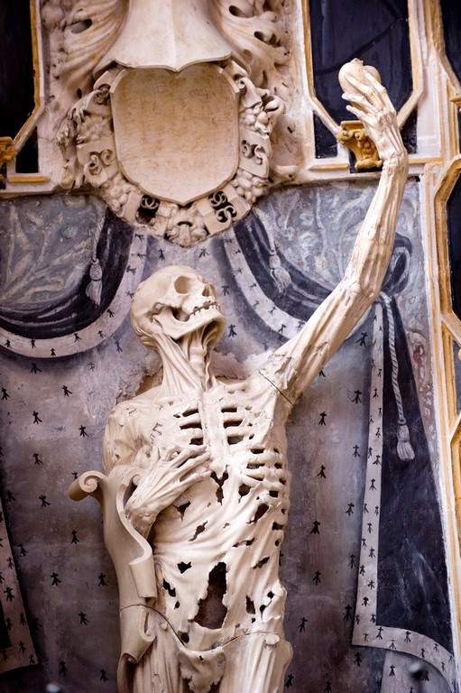 F43CF59C-0995-4B7F-A6C8-21139BF26F38