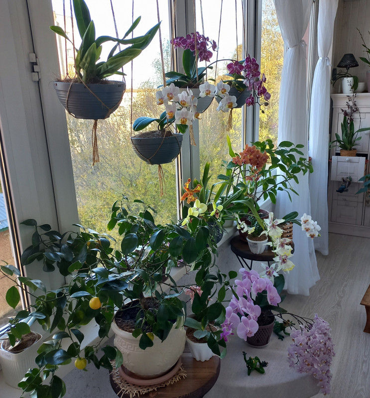 t7VslWprhjA — копия