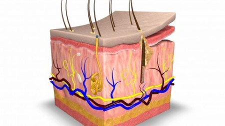 Atlas of Skin Diseases