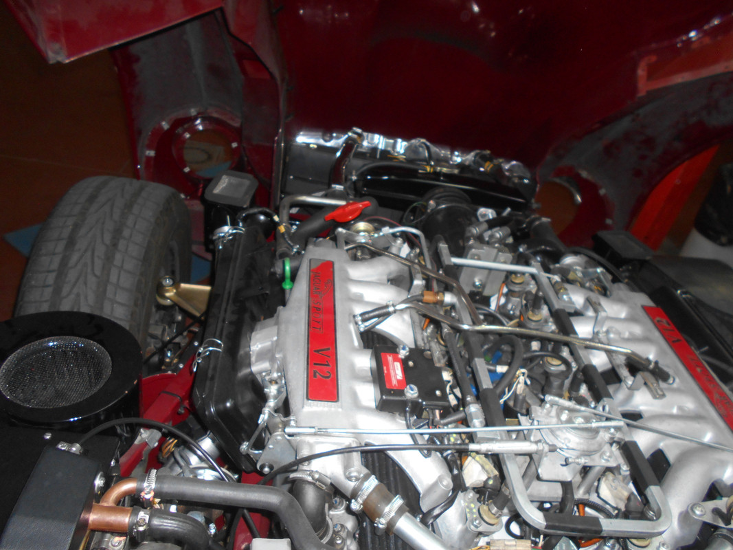 DSCN0235.jpg