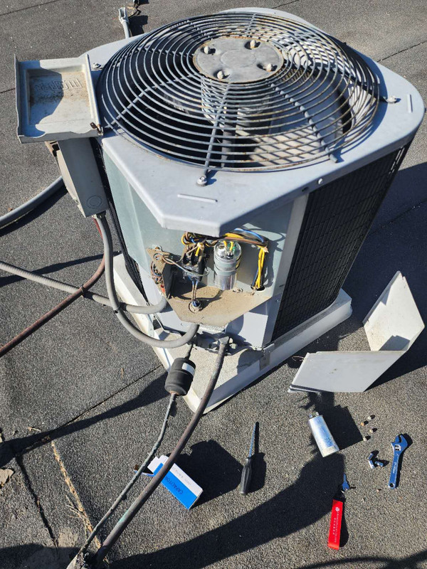 微信图片_20240626181346