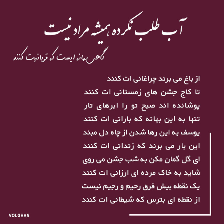 volghanhosseini (102)