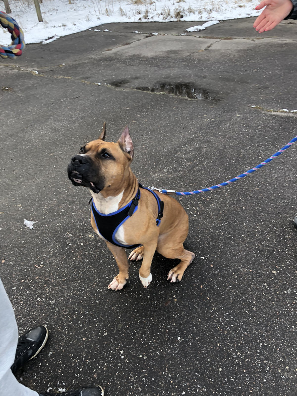 FD2F4B04-6F7D-4AD3-BF0E-56F237910422