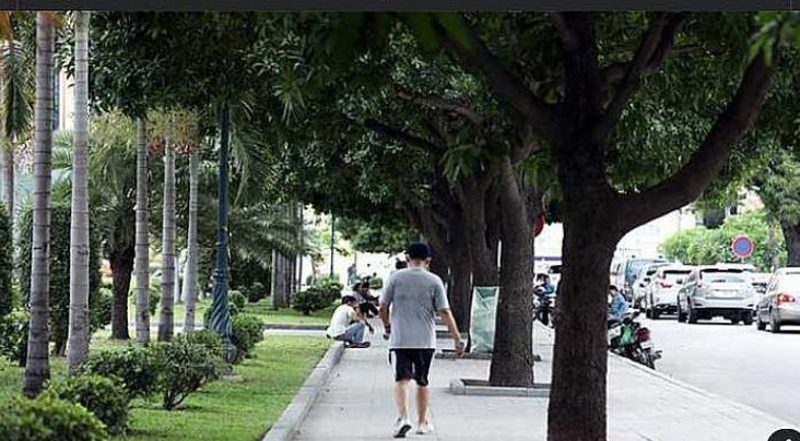Tree-Walks-1a