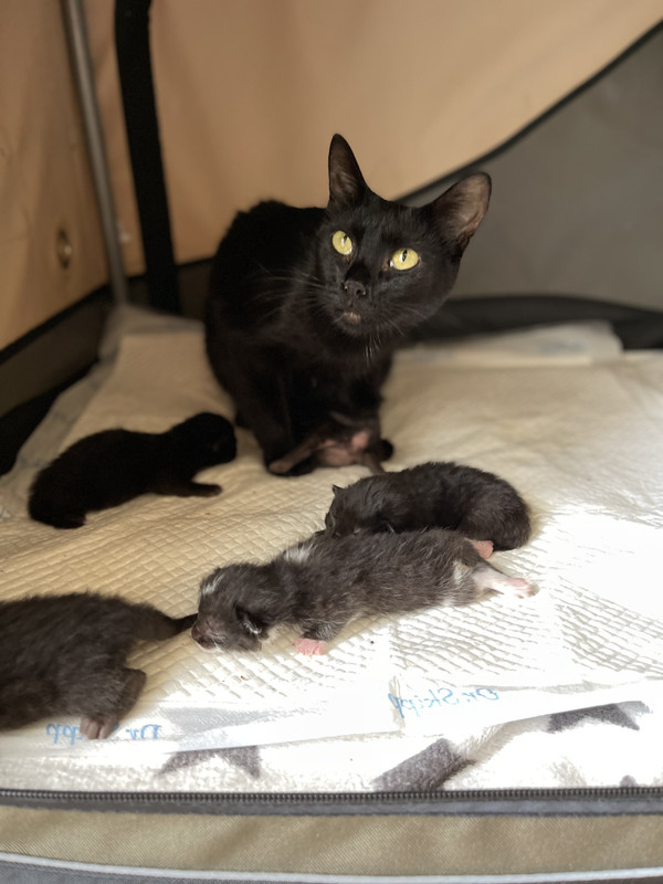 25C2B618-6D09-496A-A1ED-B776ADC7F162