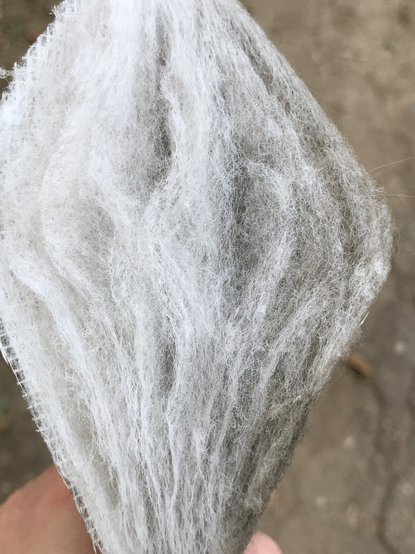 501CC492-8054-4C6A-AB99-D0B33A91A001