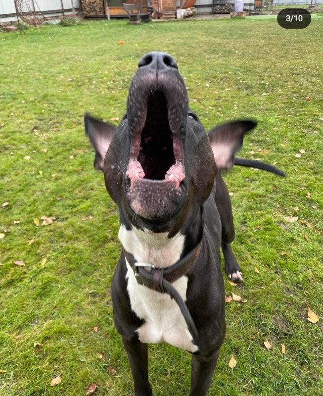 7B3F88EA-5ECB-4F77-9D71-79237E6C96EB