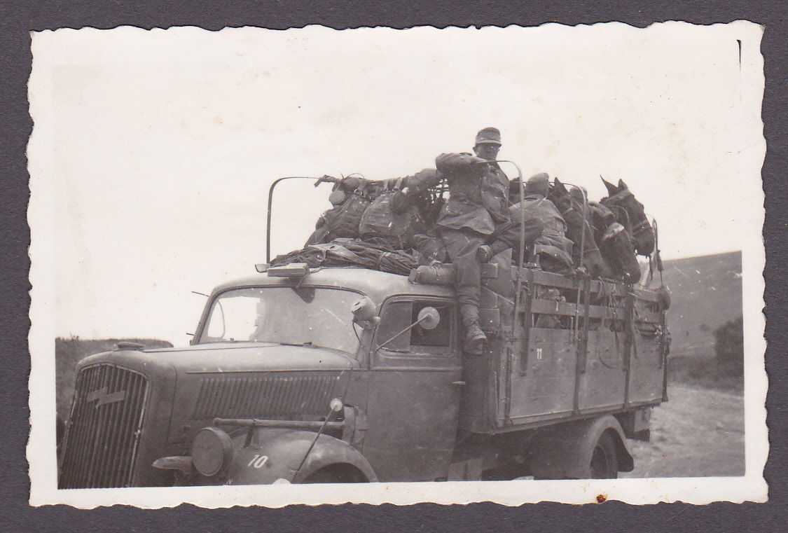 Foto 2.WK.Gebirgsjäger mit Mulis auf LKW