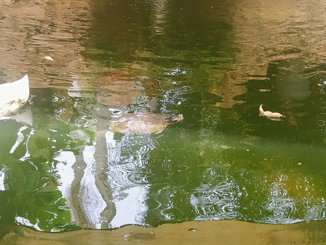 photo5812261293741159809