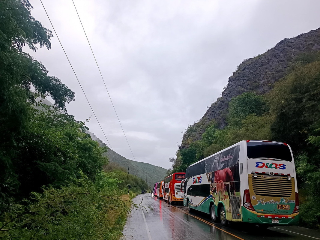 Buses varados por bloqueo de la vía.