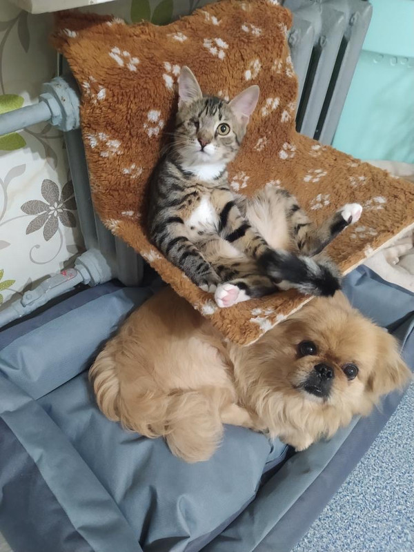 823BFD97-70F8-4494-8CF7-1CD198ACD424