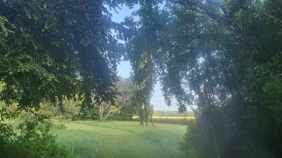[Image: 20220528-171654.jpg]