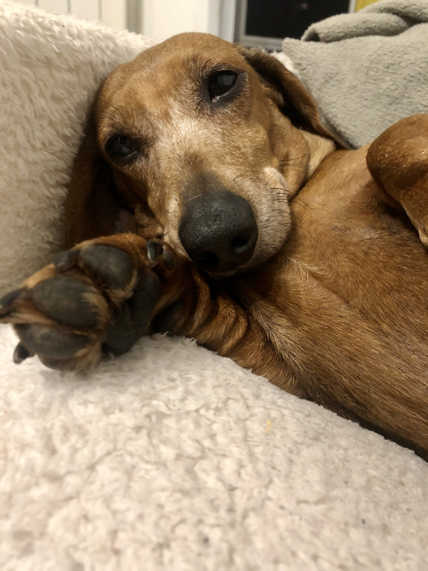 [Image: IMG-2853.jpg]