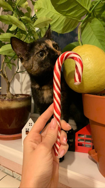 6CC22EB4-1A83-4D8E-97BA-D97A00246301