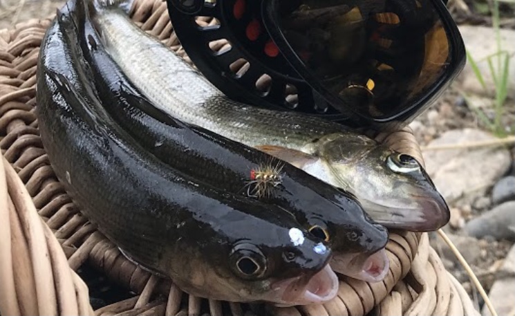 2BD6C862-51B4-4579-BFD3-D87A72B68B07