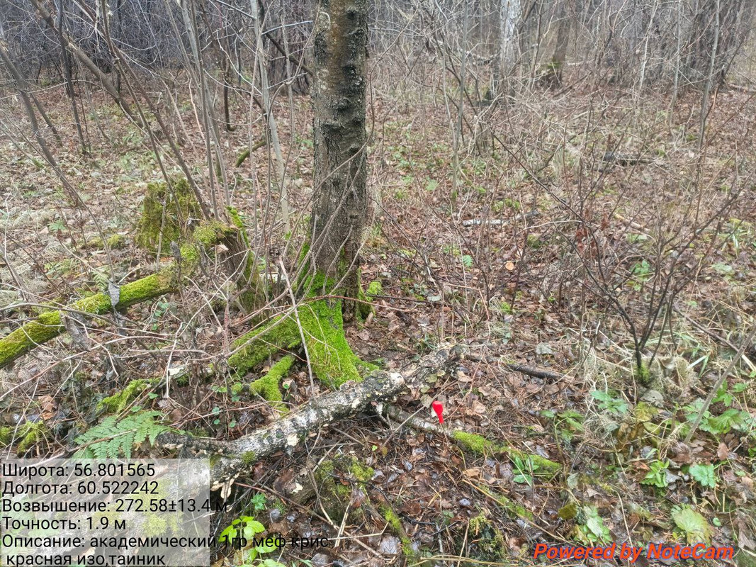 photo 12 2025 11 07 13 04 30