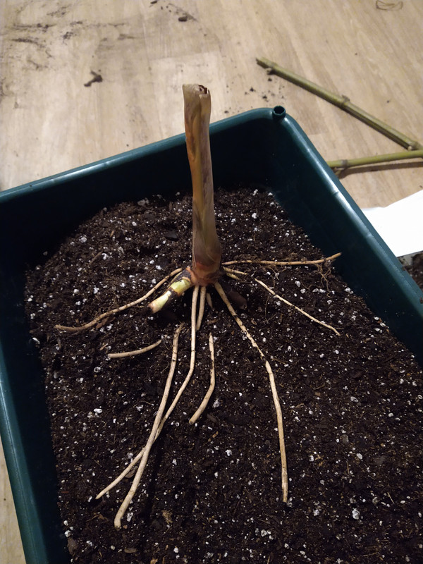 IMG_20240930_213936461