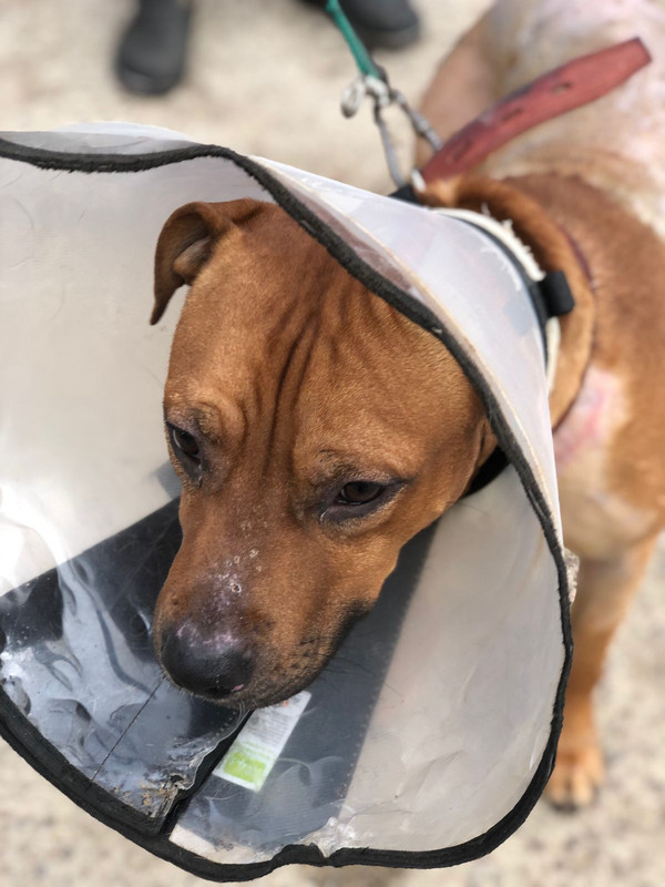 WhatsApp Image 2022-09-12 at 14.46.55 (1)