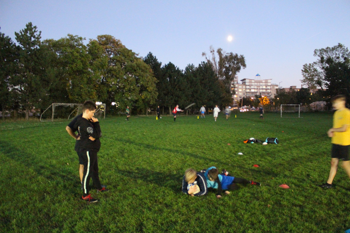 IMG-2965
