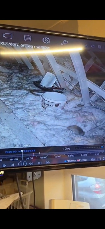 Screenshot 20260214 103629 Whats App