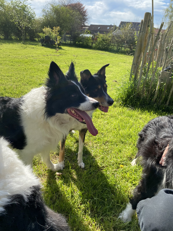 3A7643C9-D35F-4909-B557-F29BBE62BE7E