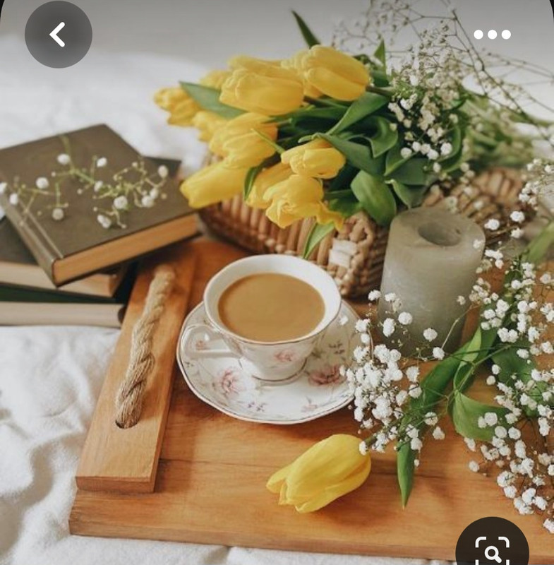 Screenshot_20230616_130513_Pinterest