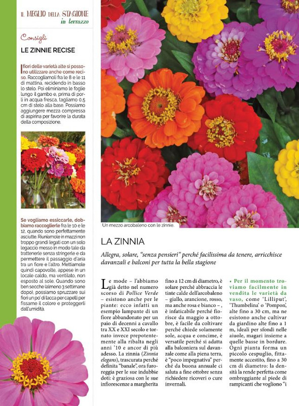 Pol Ver Lug 2022 (1)