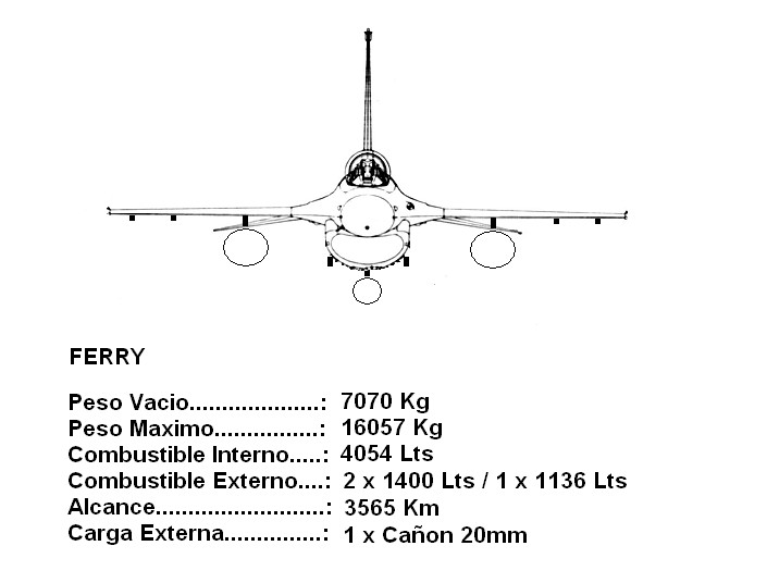 Configuracion-F16-Ferry.jpg