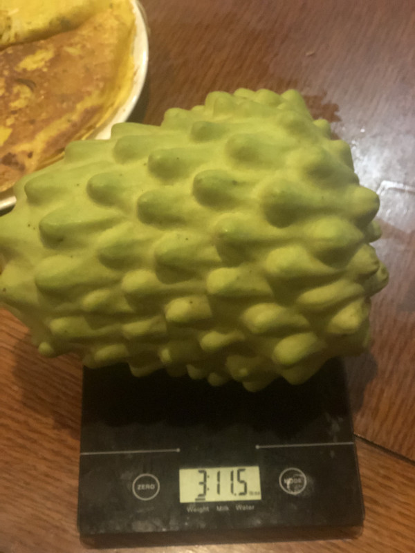 A63C6D6A-B9C8-4B93-8B4A-2272630BD415