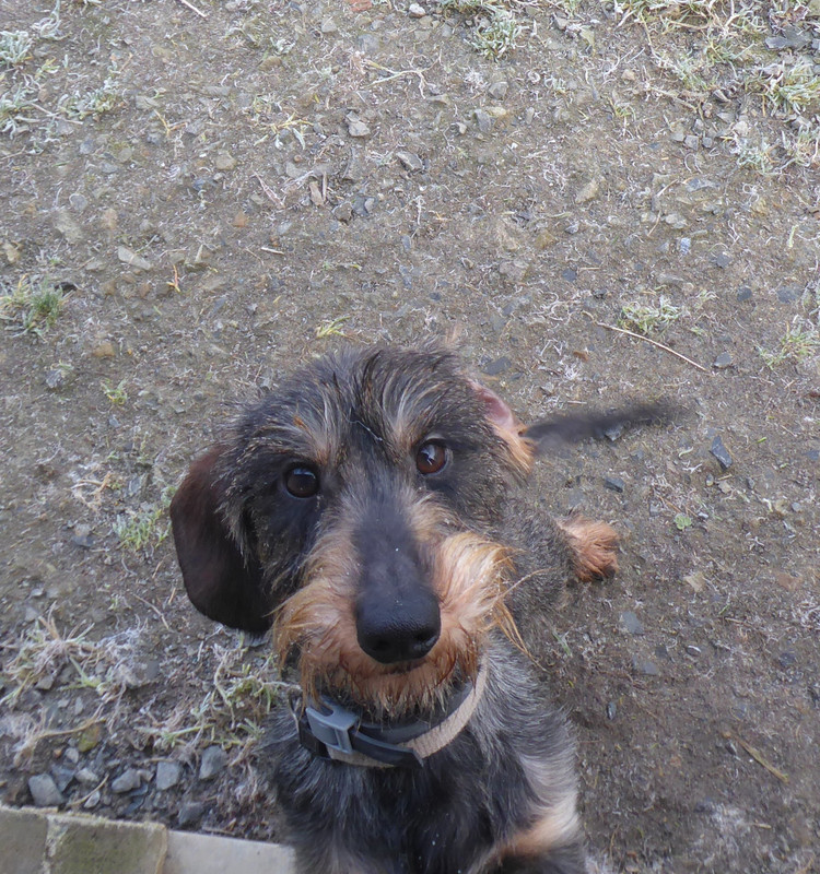 [Image: P1050997.jpg]