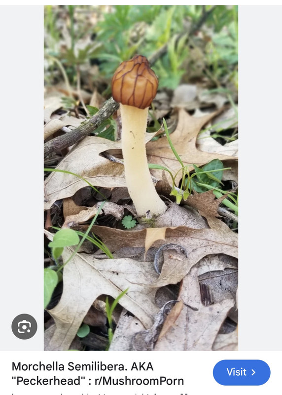 IMG 4598