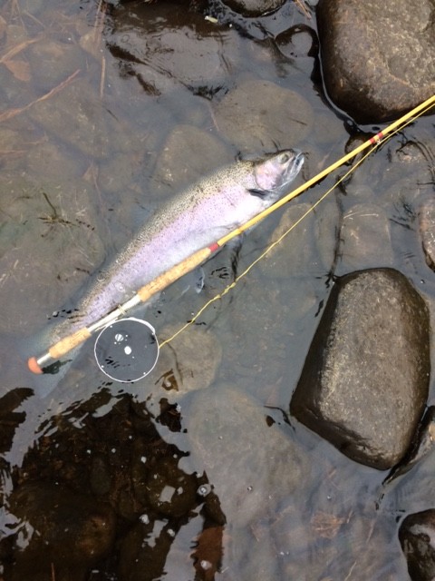 20C02A67-B5BE-492F-A8DC-B51A56422D6C