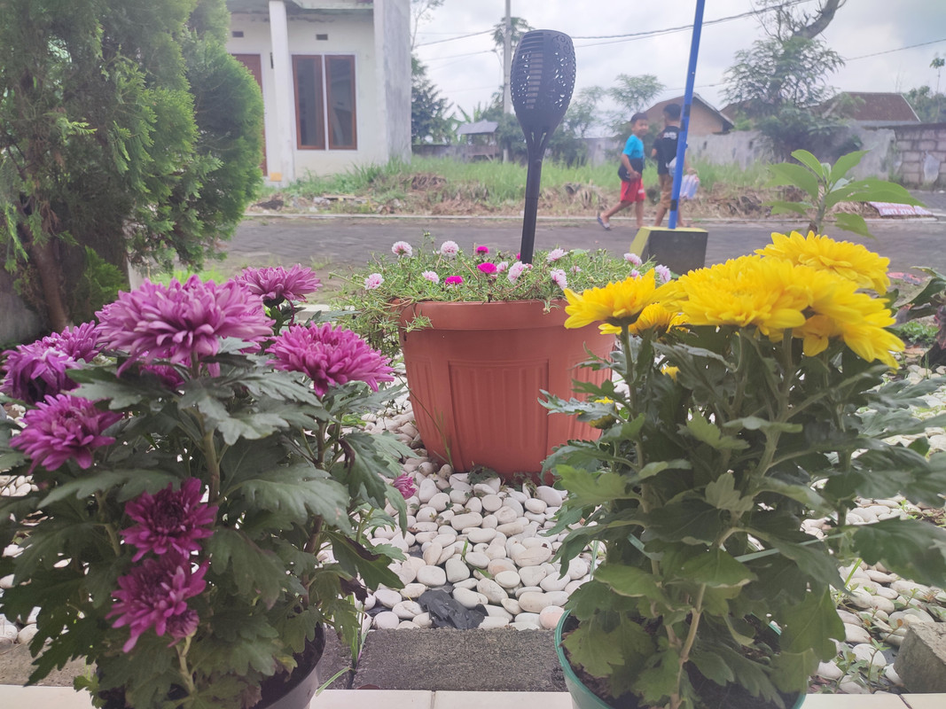 Kegiatan Menyelamatkan Bumi