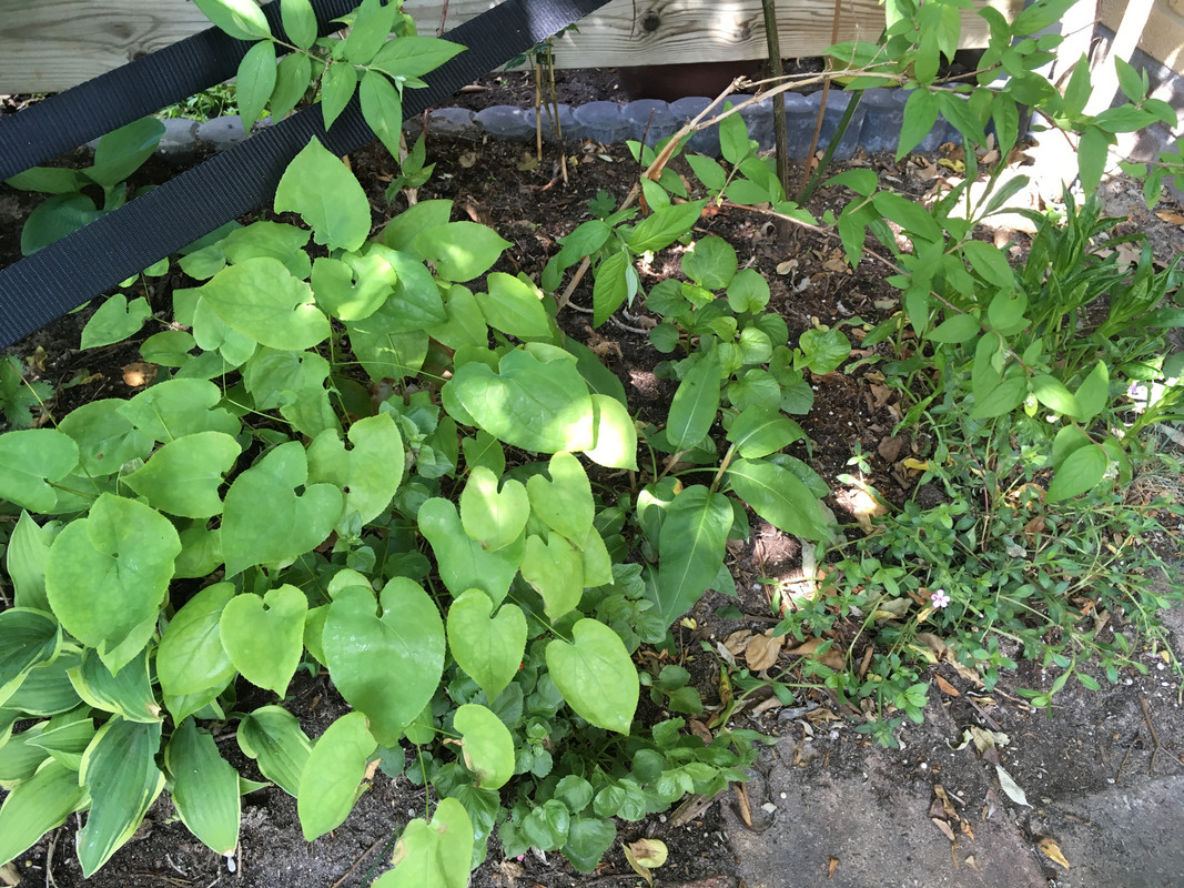 3041E15D-AFF3-41C7-BC62-C5850F7930EC