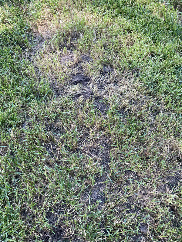 4A17AE8E-94BB-4CD6-8DBE-3FB96EFFEE7F