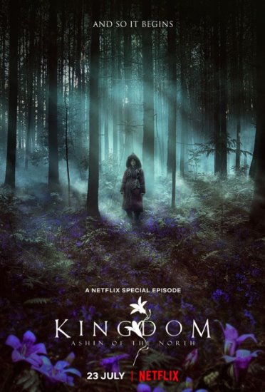 Kingdom: Ashin of the North / Kingdom: Ashin-jeon (2021) PL.WEB-DL.XviD-GR4PE | Lektor PL