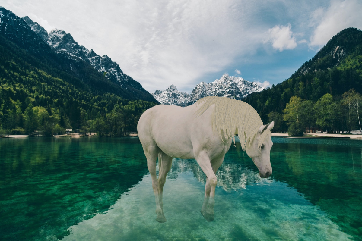 8D57F227-F7FD-4881-95A6-CE4276CA51A4