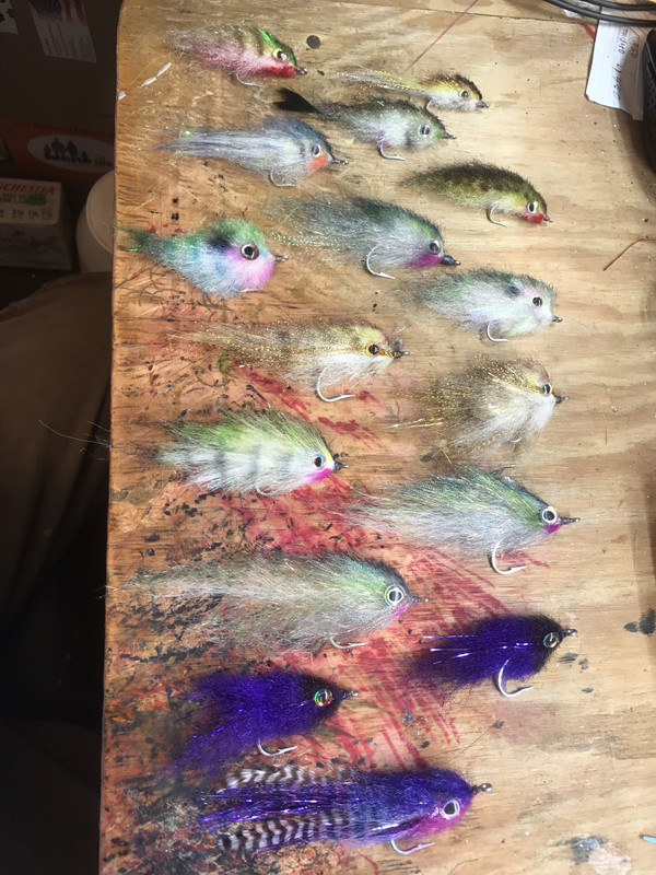 0F442845-8EF5-431F-B860-74F738F70791