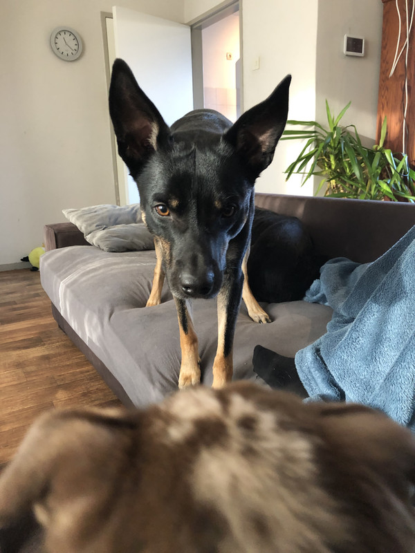 119C9FA5-4464-4732-8A3F-DDB02E7216C1