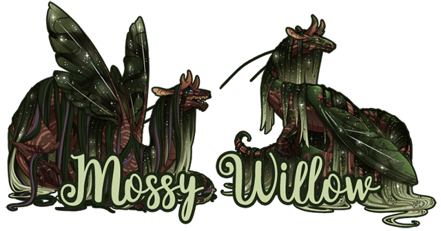 Mossy_Willow_Nest_Bio.png