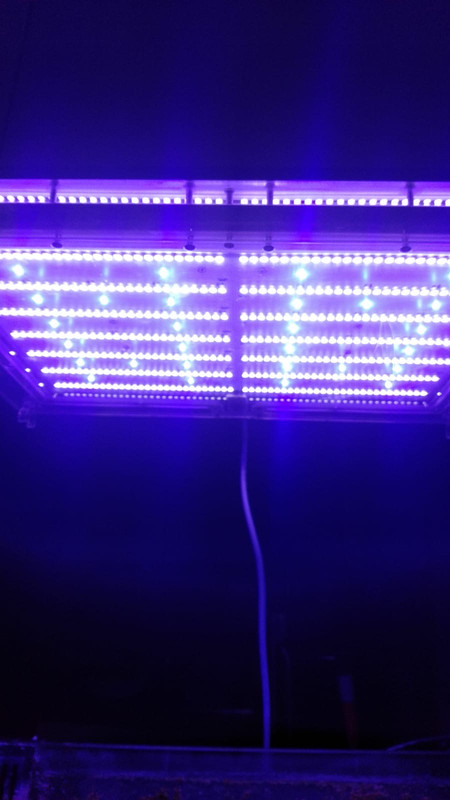 D1BFE75F-91E5-4F2D-B25F-C3783BF7B153