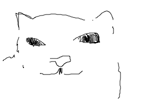cat by @inferno